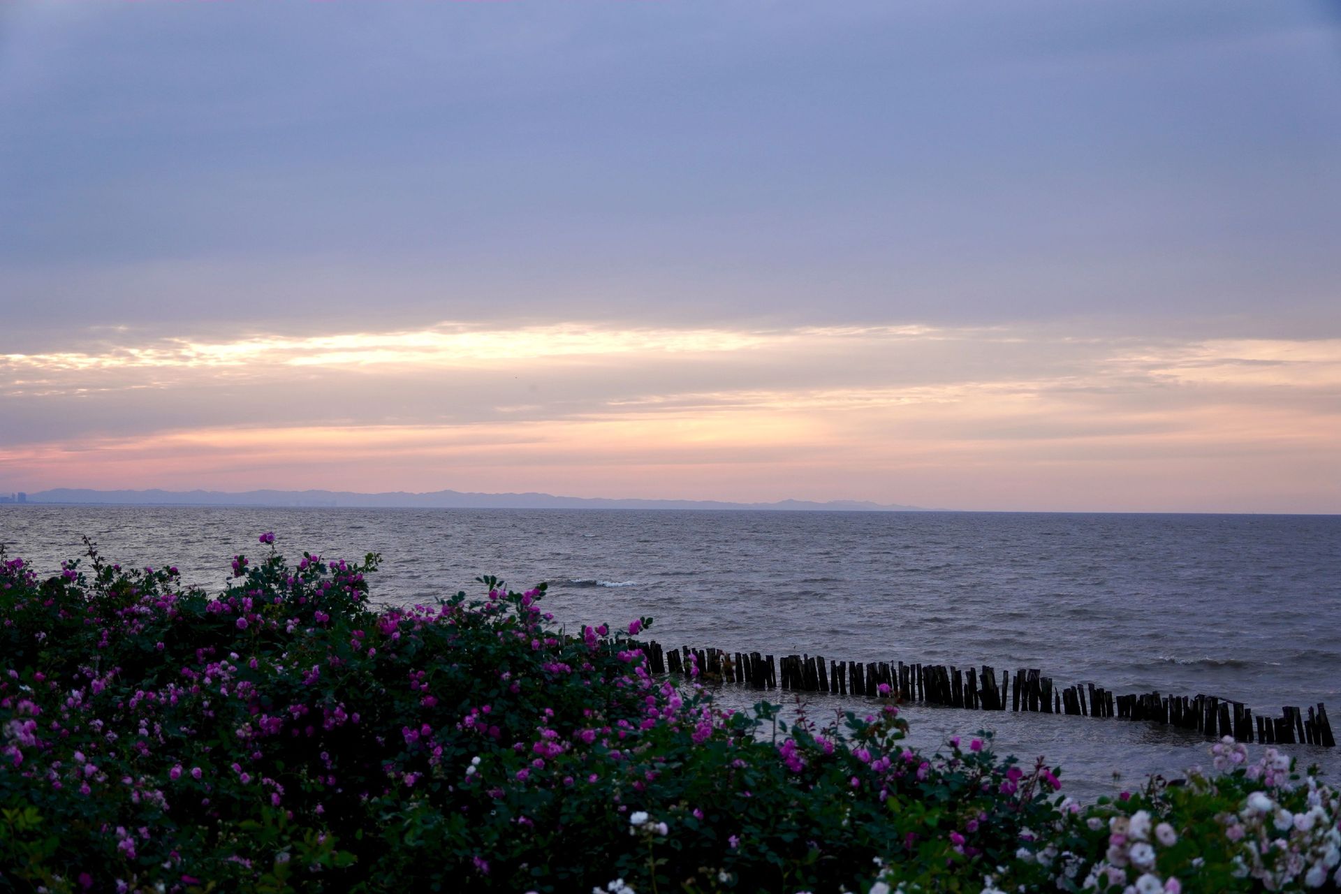 image_7.png