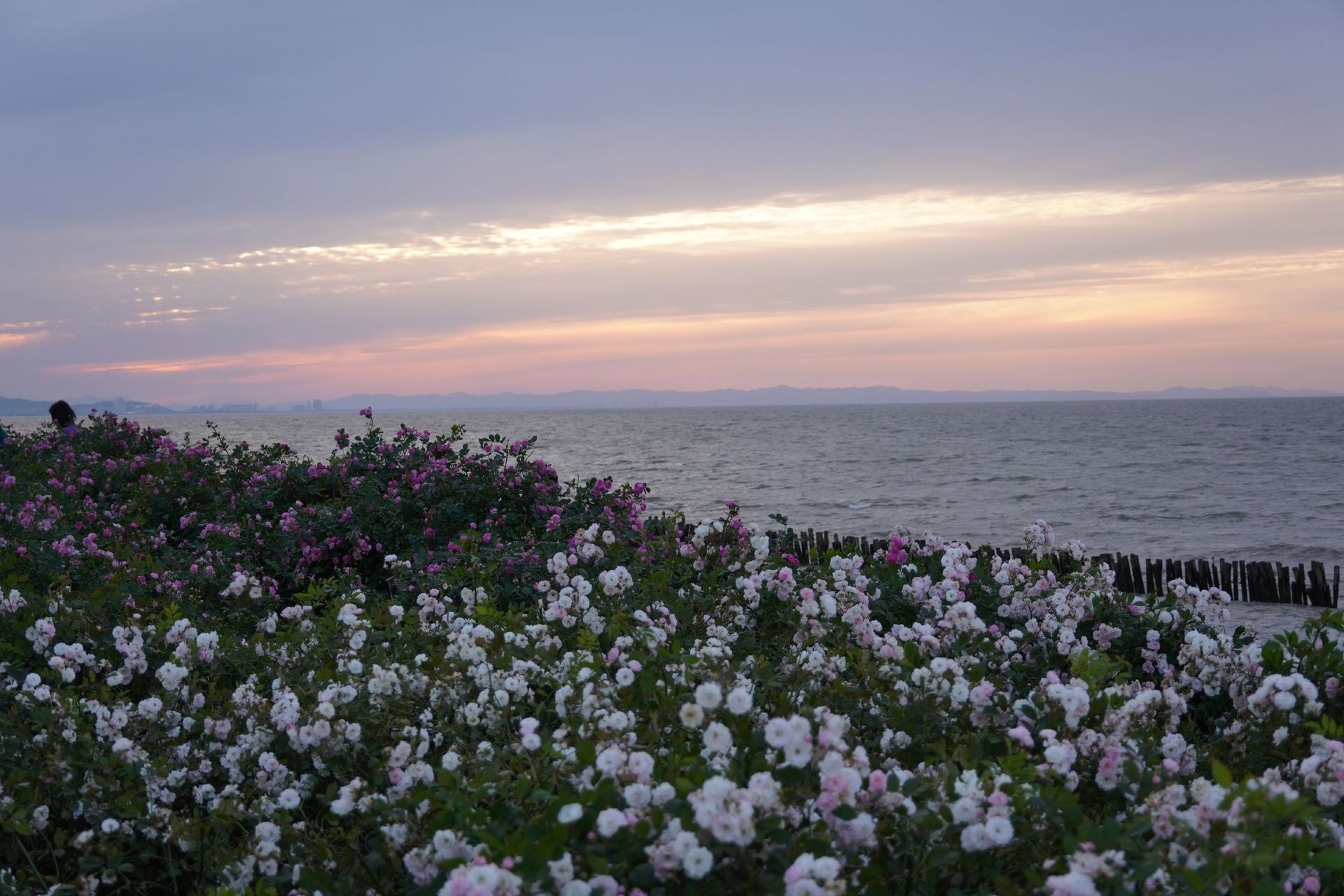image_11.png